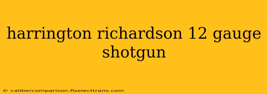 harrington richardson 12 gauge shotgun