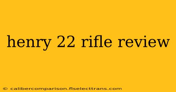 henry 22 rifle review