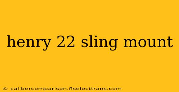 henry 22 sling mount