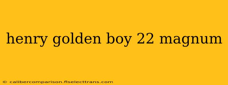 henry golden boy 22 magnum