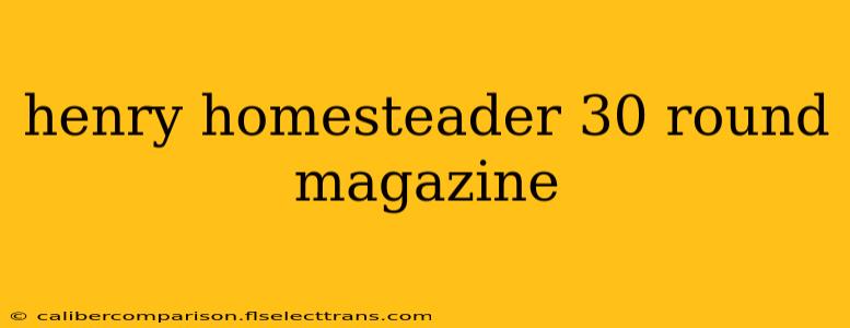 henry homesteader 30 round magazine