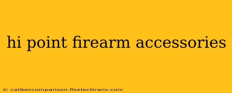 hi point firearm accessories