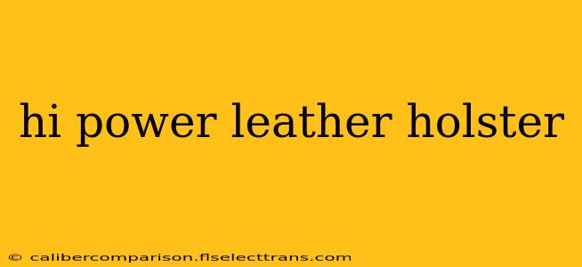 hi power leather holster