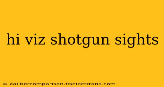 hi viz shotgun sights