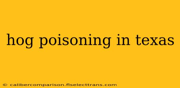 hog poisoning in texas