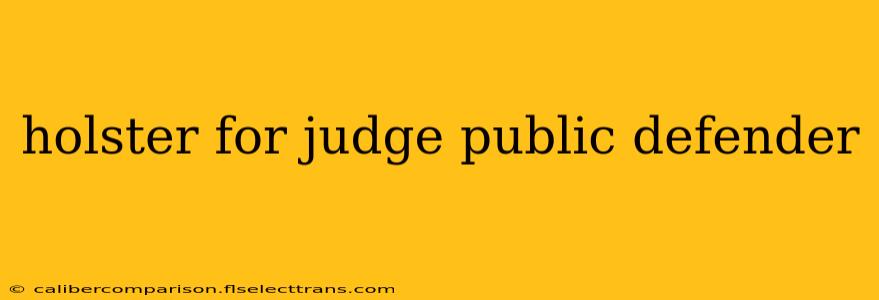 holster for judge public defender