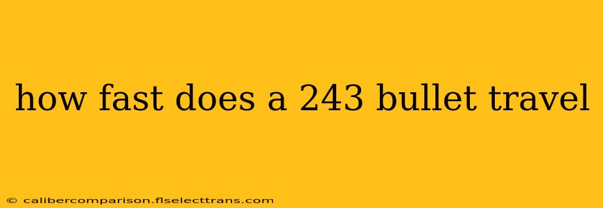 how fast does a 243 bullet travel