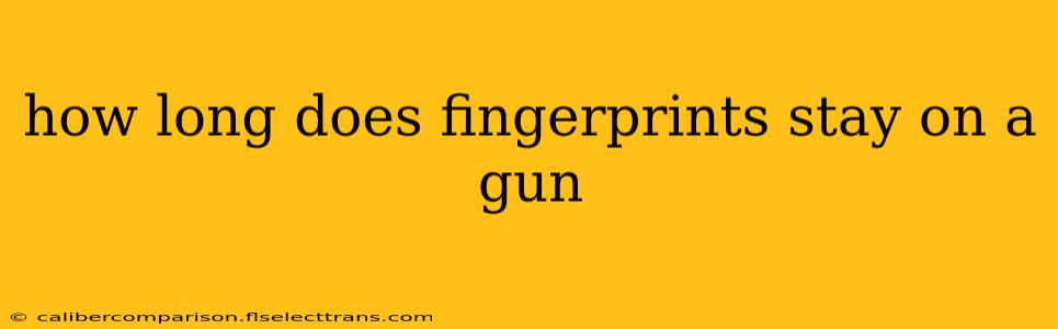 how long does fingerprints stay on a gun