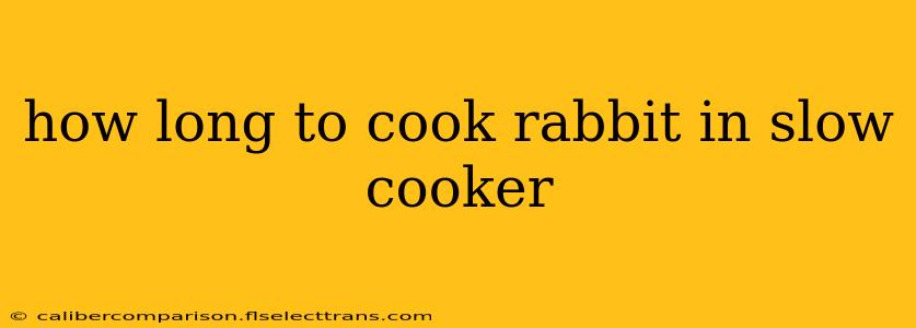 how long to cook rabbit in slow cooker