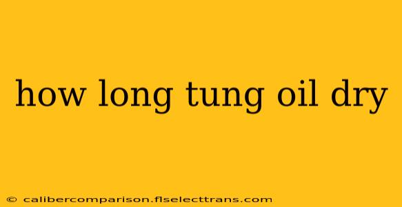 how long tung oil dry