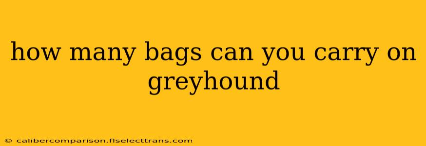 how many bags can you carry on greyhound