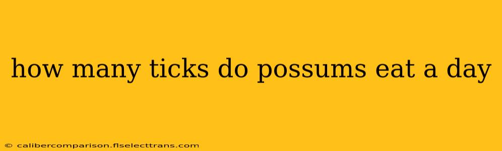 how many ticks do possums eat a day