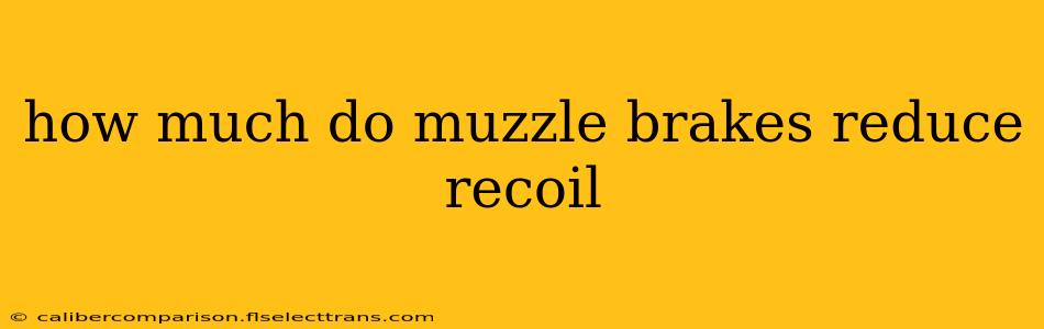 how much do muzzle brakes reduce recoil