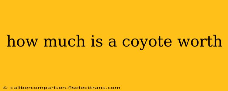 how much is a coyote worth