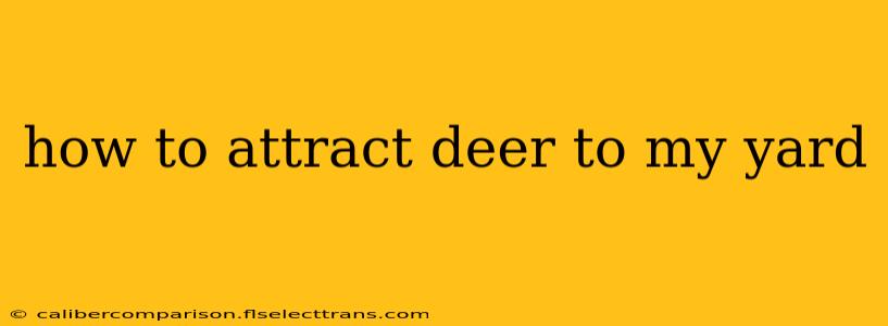 how to attract deer to my yard