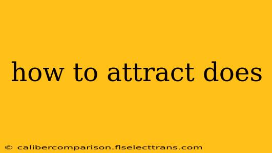 how to attract does