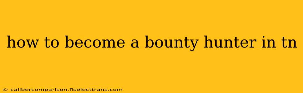 how to become a bounty hunter in tn