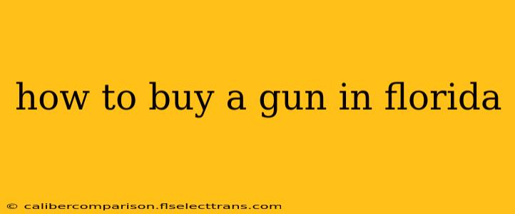 how to buy a gun in florida