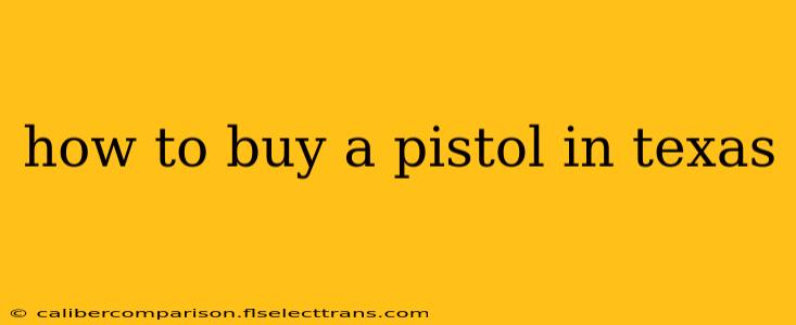 how to buy a pistol in texas