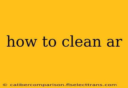 how to clean ar