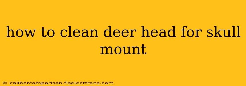 how to clean deer head for skull mount