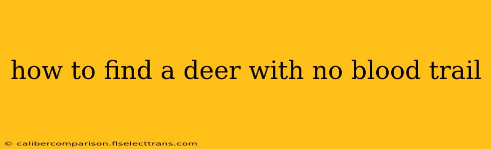 how to find a deer with no blood trail