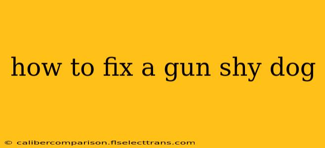 how to fix a gun shy dog