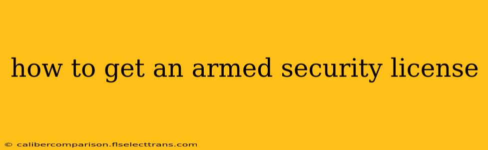 how to get an armed security license