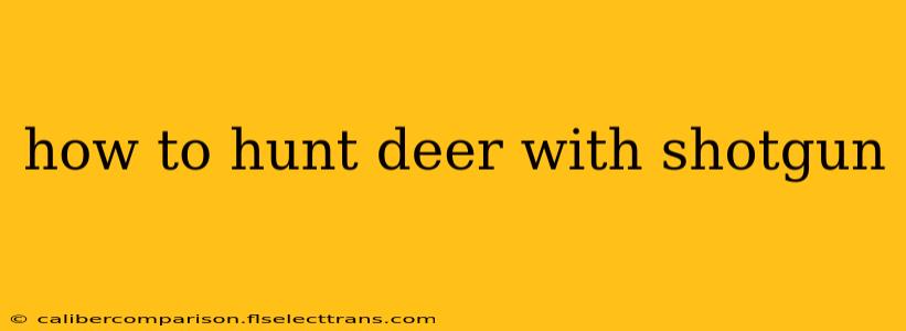 how to hunt deer with shotgun