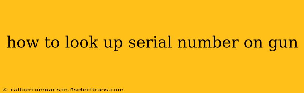 how to look up serial number on gun