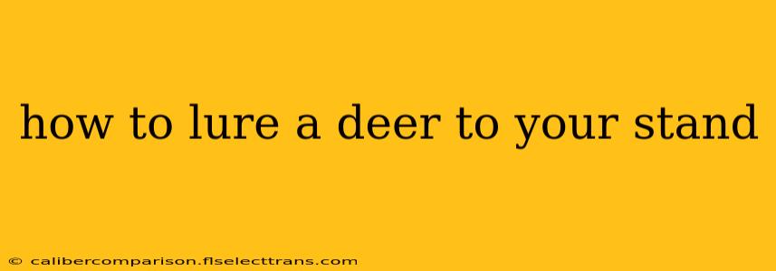 how to lure a deer to your stand