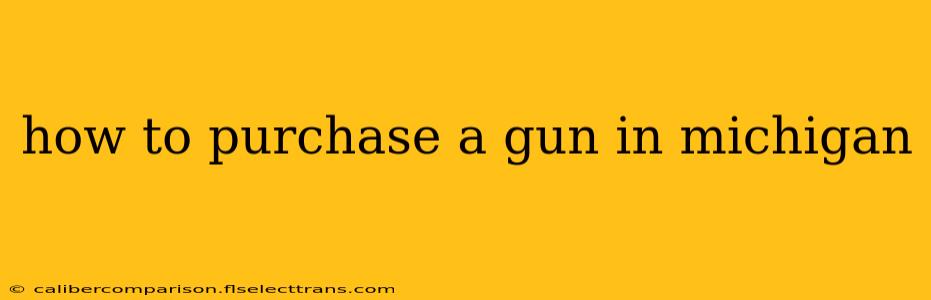 how to purchase a gun in michigan