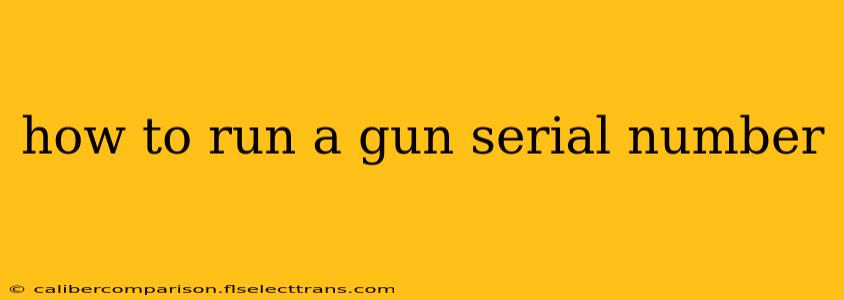 how to run a gun serial number