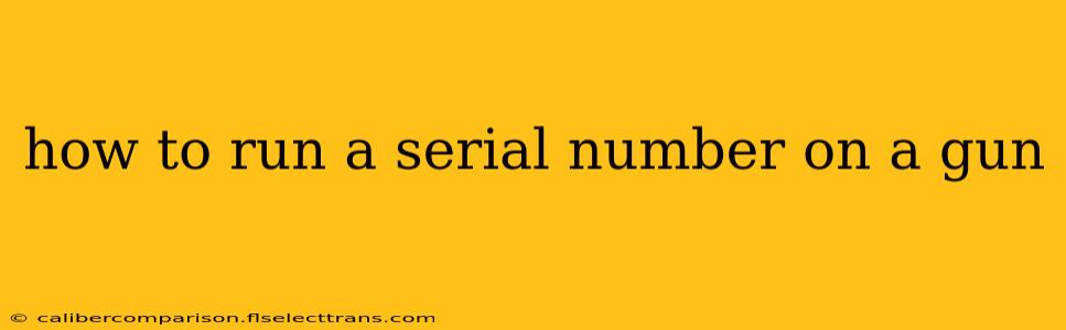 how to run a serial number on a gun