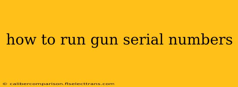 how to run gun serial numbers