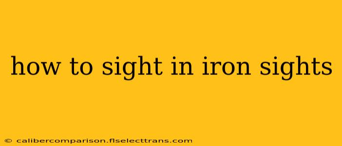 how to sight in iron sights