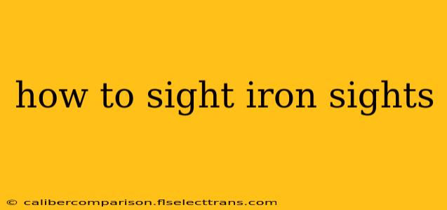 how to sight iron sights