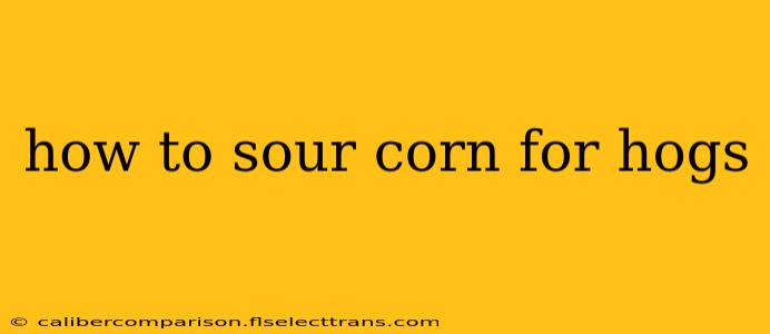 how to sour corn for hogs