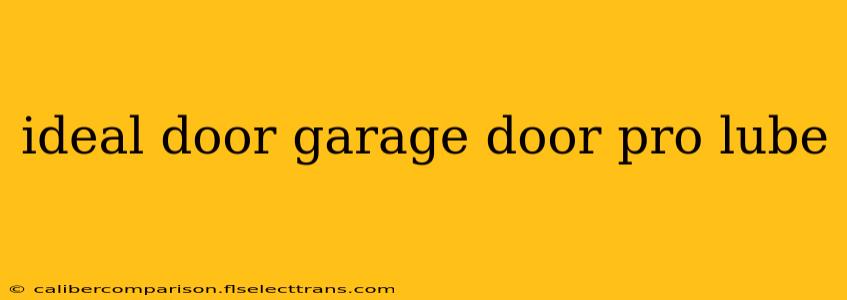 ideal door garage door pro lube