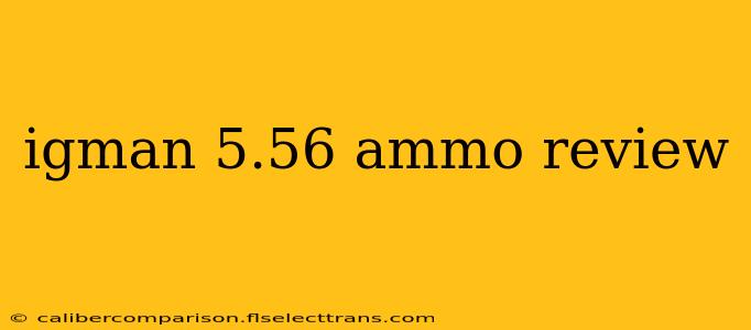 igman 5.56 ammo review