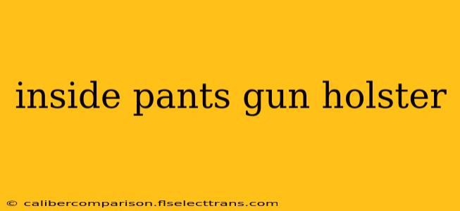 inside pants gun holster