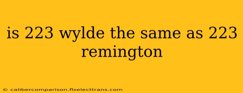 is 223 wylde the same as 223 remington