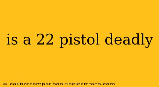 is a 22 pistol deadly