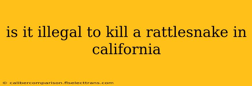 is it illegal to kill a rattlesnake in california