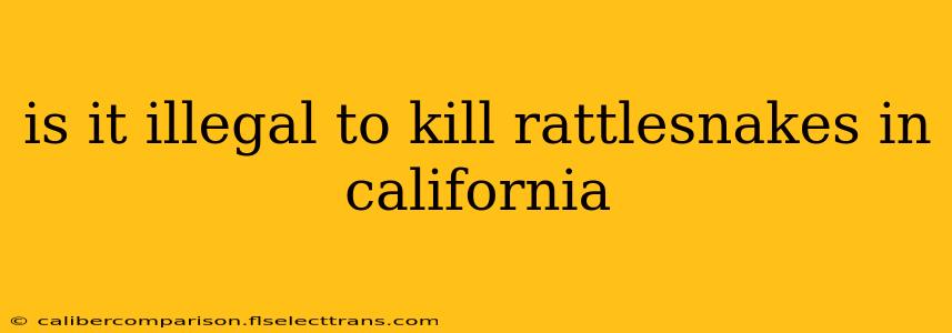 is it illegal to kill rattlesnakes in california