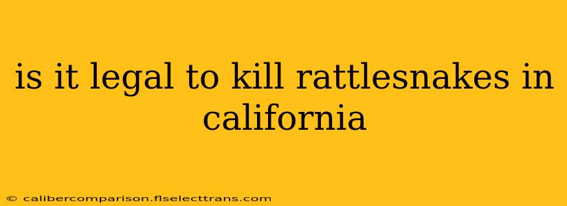 is it legal to kill rattlesnakes in california