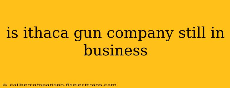 is ithaca gun company still in business