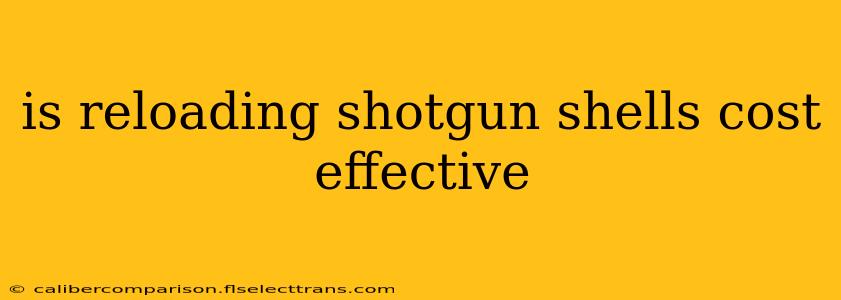 is reloading shotgun shells cost effective