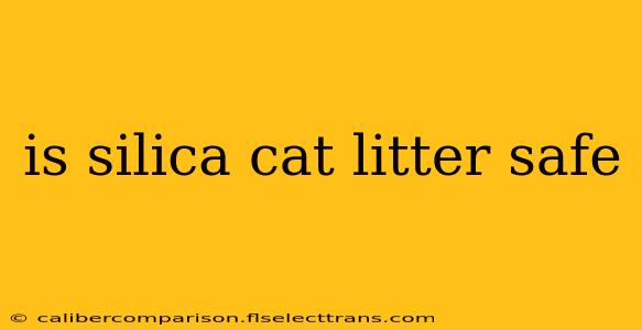 is silica cat litter safe