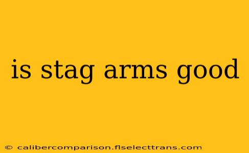 is stag arms good